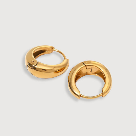 Mini Gold Hoops Earrings