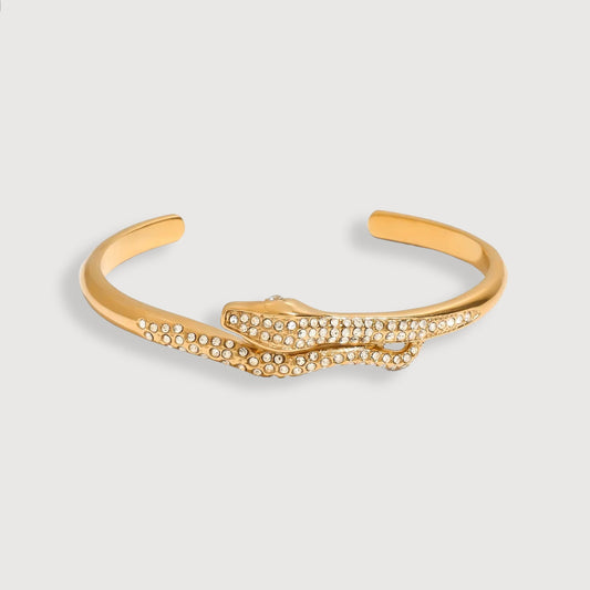 Golden Snake Bracelet Set