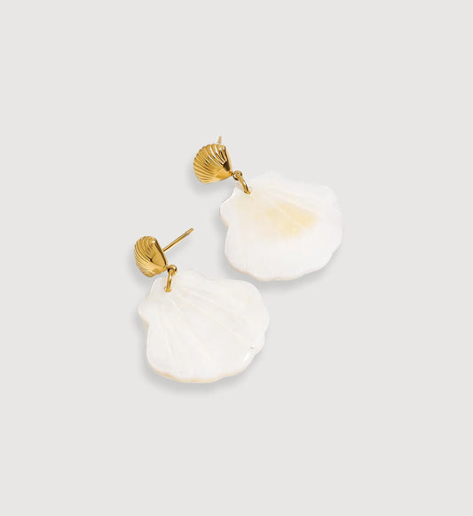 Natural Shell Dangle Earrings